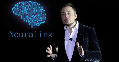 Neuralink Маска привлек 280 миллионов долларов инвестиций