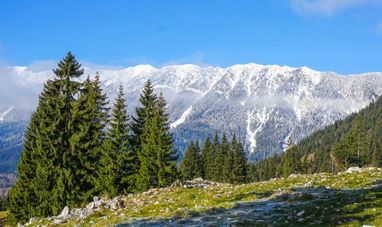 На Закарпатье будут судить 3 человек за мошенническое завладение землями на Драгобрате