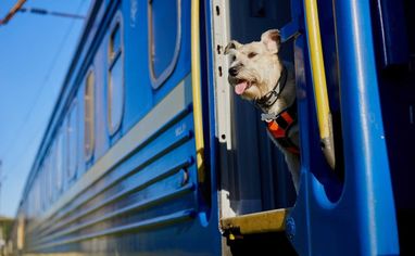 У поїзд з твариною: як подорожувати «Укрзалізницею» разом з домашніми улюбленцями — Finance.ua