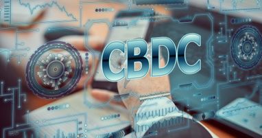 Резервный банк Индии предложил поэтапный подход к внедрению CBDC