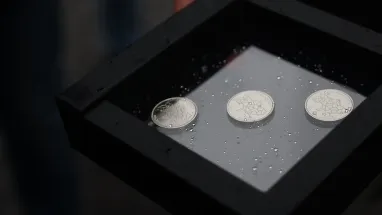 Аверс всех трех новых оборотных памятных монет идентичный