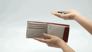 День фінансів: ідея економічних паспортів, «карантинні» 8 тис. для ФОПів, три етапи для зростання прожиткового мінімуму