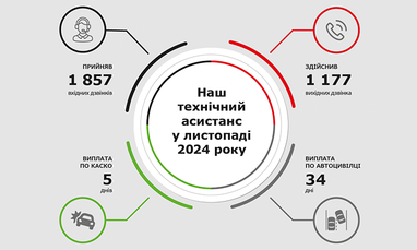 Технический ассистанс в ноябре 2024