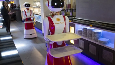 Роботи-офіціанти: у Нідерландах придумали, як вберегти клієнтів ресторану від COVID-19 (фото)