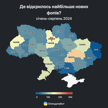 Кожен третій фоп закривається в перший рік роботи, — Опендатабот