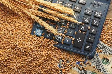 Україна експортувала 42,4 млн тонн зерна