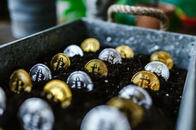 Сколько зарабатывают украинские криптоинвесторы
