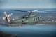 Boeing розпочинає виробництво вертольотів MH-139A Gray Wolf