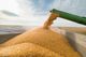 Торговля агропродукцией с рф: какие страны ЕС покупают российское зерно