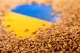 Україна доправила в Судан тонни зерна, — Зеленський