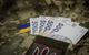 Есть ли деньги, чтобы повысить зарплаты военным — разъяснение экономиста