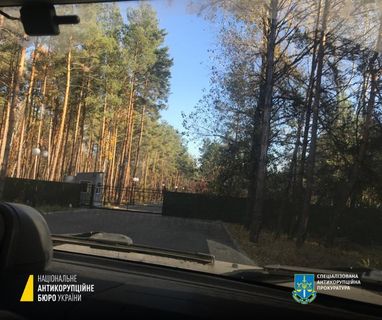 НАБУ та САП викрили схему заволодіння лісом на березі Київського моря вартістю 2,95 млн грн