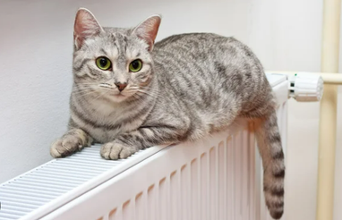 В одній із областей України розмір субсидії підвищили у 5 разів