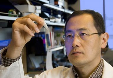 Японские ученые впервые синтезировали клетки, способные уничтожать рак (ФОТО)