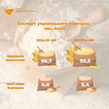 Куда Украина экспортирует муку — ТОП-5 стран