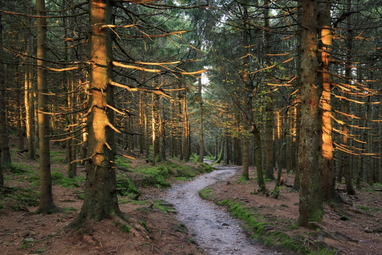 ТОП-7 самых красивых мест в Европе — Lonely Planet (фото)