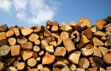 Украинцам советуют запасаться дровами
