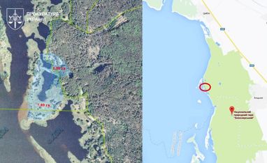 Землі, пов’язані з Медведчуком та Клименком, повернуто державі (карта)