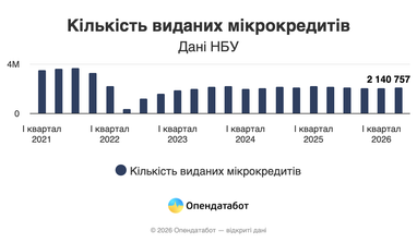 Количество выданных микрокредитов