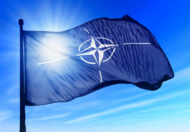 Зеленский: Украина не снимет вопрос НАТО со стола переговоров