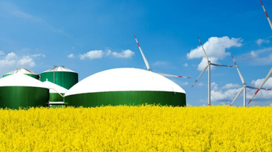 В Украине приняли государственный стандарт для биометана