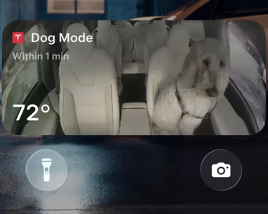 Tesla випустила святкове оновлення 2025 року