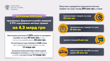 Инфографика: ДМС