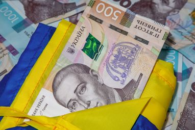 Сколько средств привлекла Украина от ОВГЗ — данные Нацбанка