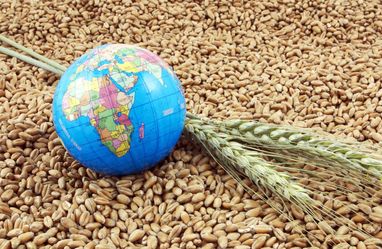 Експорт зерна дасть Україні можливість прожити ще 2 місяці, — Зеленський