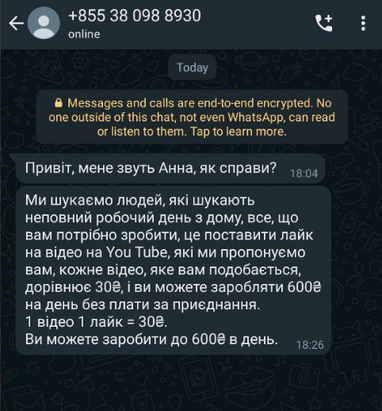Гороховский рассказал, сколько денег украинцы отдали фейковым «работодателям»