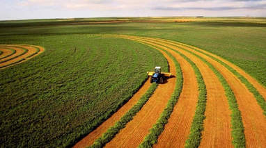 Объем рынка сельхозземель стабильно увеличивается с начала этого года — KSE