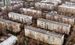 Снос старых домов: что хотят сделать
