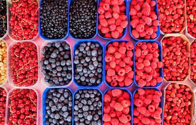 Украина стала чемпионом мира по темпам наращивания экспорта ягод