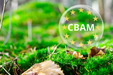 Потери украинского экспорта через CBAM могут возрасти с 372 млн долларов США в 2026 году до 1,754 млрд долларов США в 2030 году.