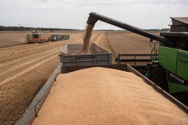 Латвія вимагає від ЄС заборонити імпорт російського зерна: можна замінити українським