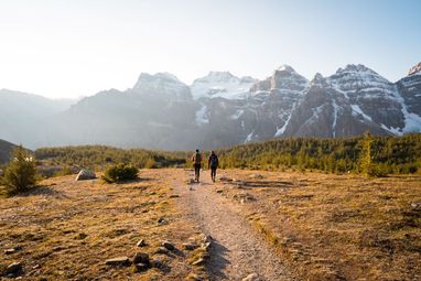 Как компании в Украине и мире внедряют ESG-отчетность