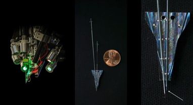 Ілон Маск пропонує транслювати музику прямо в мозок (фото)