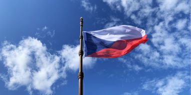 Правительство Чехии продлило временную защиту еще на год и изменило условия