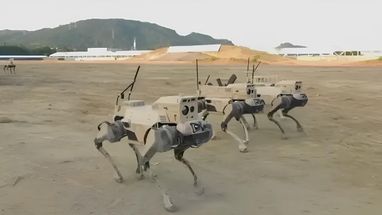 В Китае показали боевых роботов-собак нового поколения (видео)