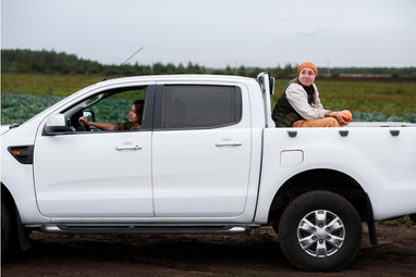 Какие пикапы покупали в Украине: растет спрос (инфографика)