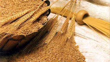 Кубраков: Україна вже практично вийшла на довоєнні показники експорту зерна