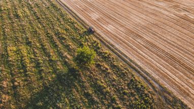 Україна має намір у 2023 р. повернути в експлуатацію 35% замінованих сільгоспугідь — Свириденко