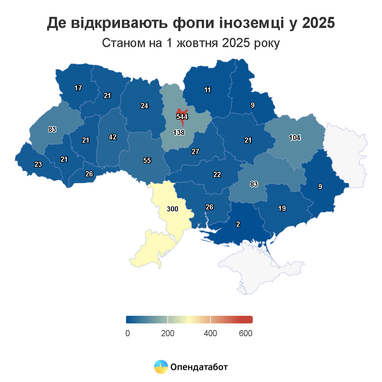Сколько иностранцев открыли бизнес в Украине в этом году (инфографика)