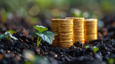 Поступления земельного налога выросли более чем на 15%