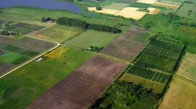 В системі Прозорро. Продажі відбулися перші онлайн-аукціони зі здачі в суборенду державних сільгоспземель