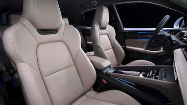 Салон оздоблений шкірою