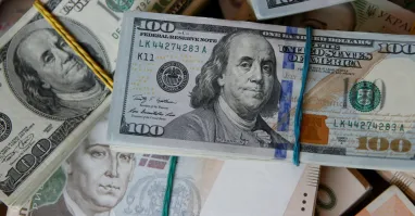 Курс долара в Україні будуть оновлювати щодня: коли чекати перших змін