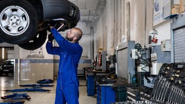 Украинские беженцы в Чехии продолжают работать на неквалифицированных должностях