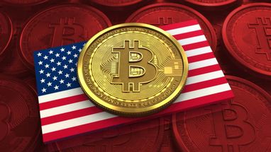 Главная цель инициативы – накопить 1 млн BTC