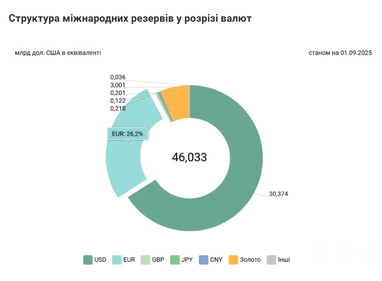 Скільки коштуватиме євро у світі та Україні — думка експерта